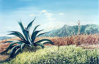 Iztaccíhuatl from San Pedro