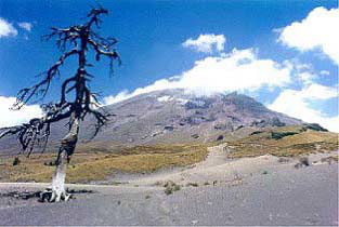 View of Popocatépetl